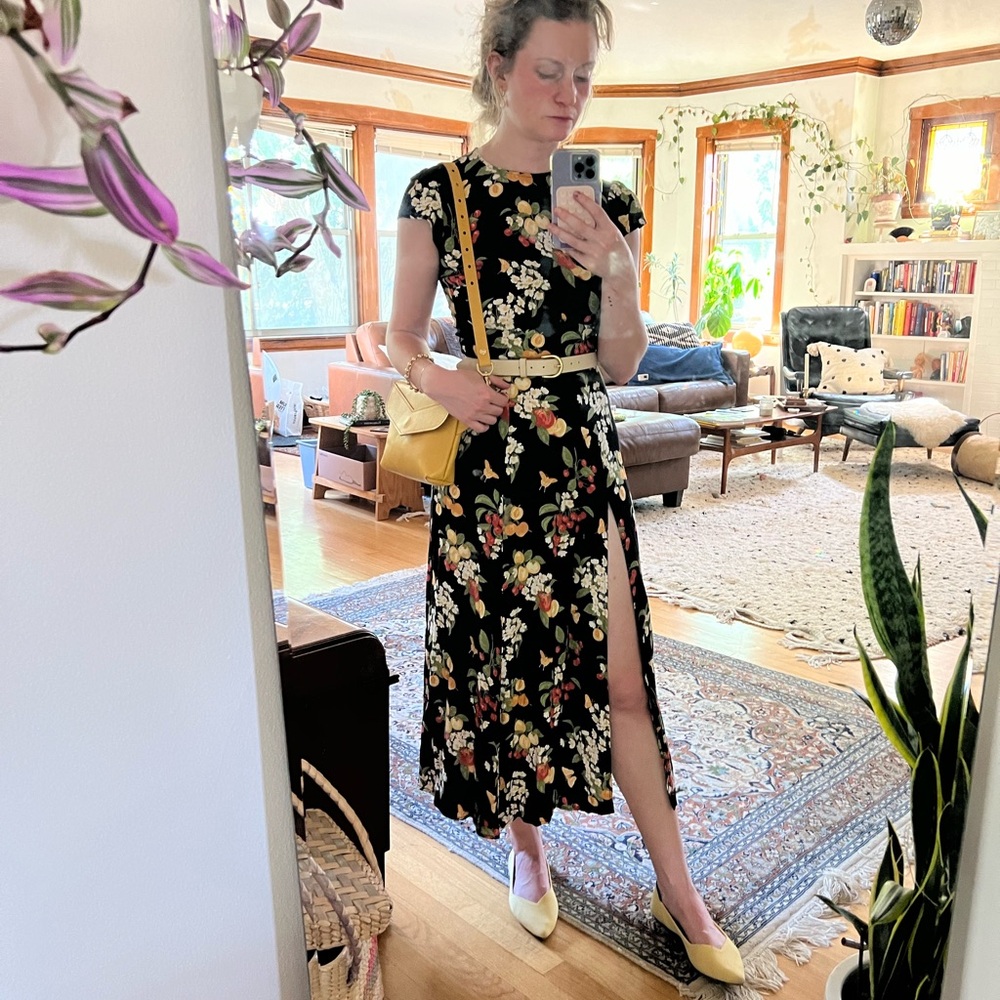 Charming Reformation Gavin Dress Autumnal print